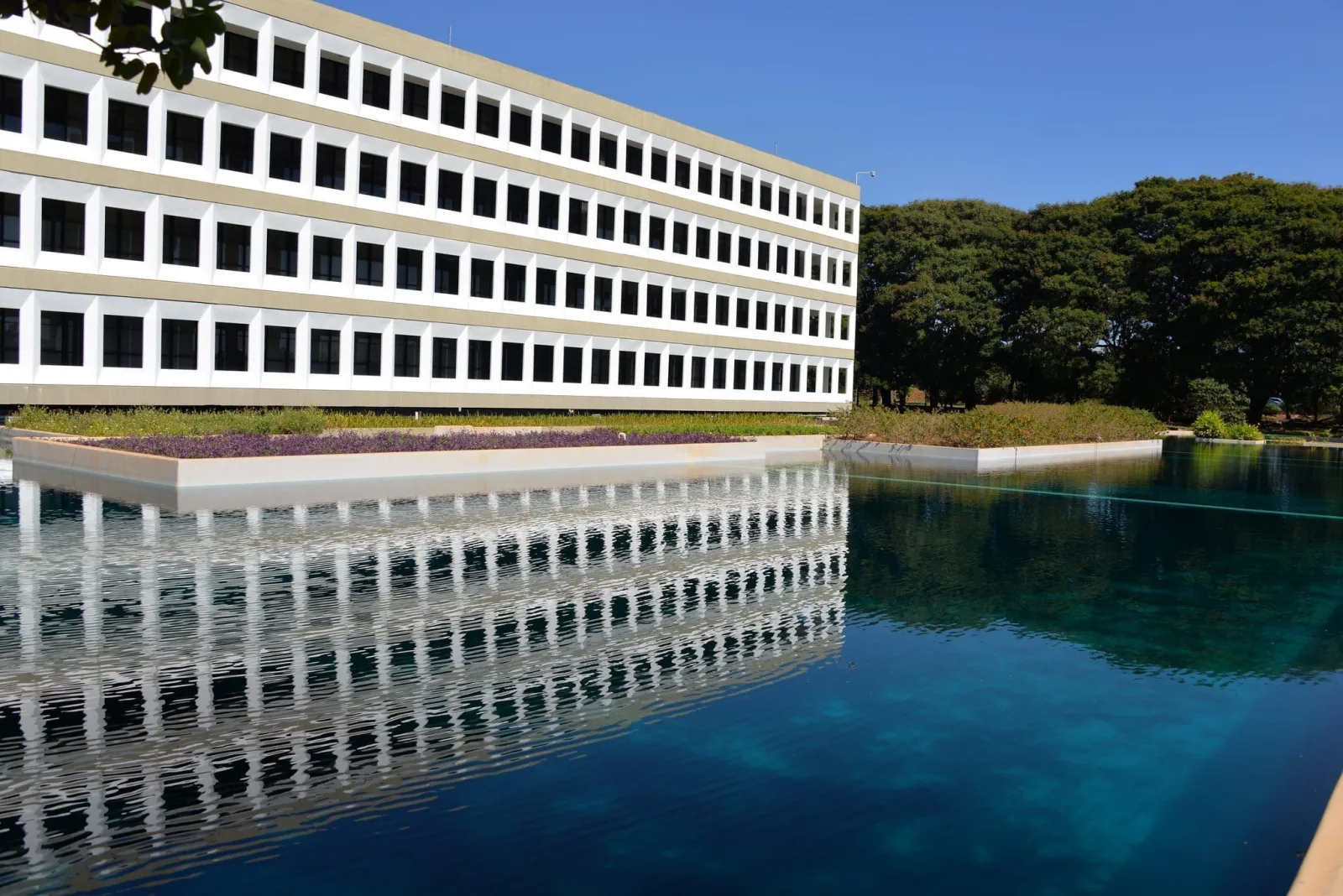 TCU instaura inspeção no Banco Central por liquidação do Banco Master