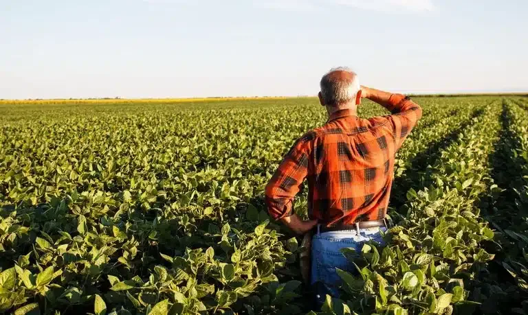 Crédito rural em crise: juros altos consomem lucro do produtor