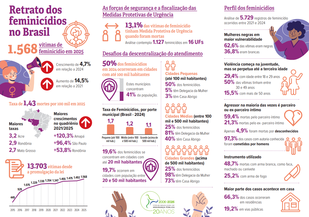 Infográfico sobre violência contra mulheres