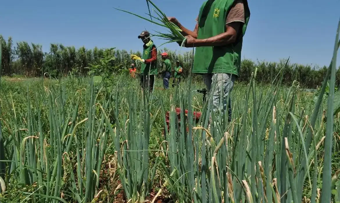 CMN muda regra de prorrogação de dívida rural e reforça que renegociação depende do aval do banco