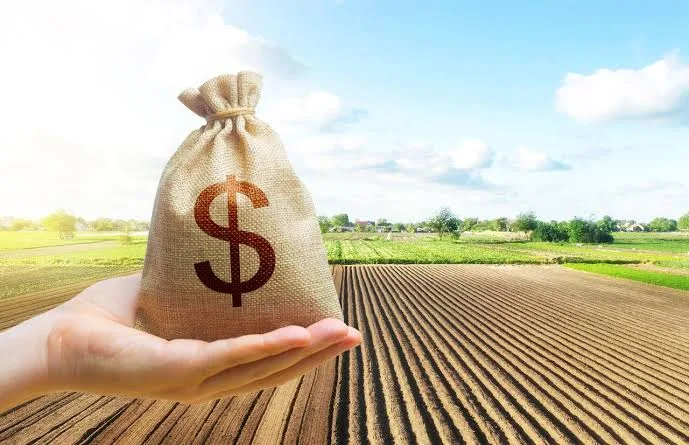 Produtor rural tem saída para reorganizar dívidas sem perder crédito barato, alerta Paola Fernandes