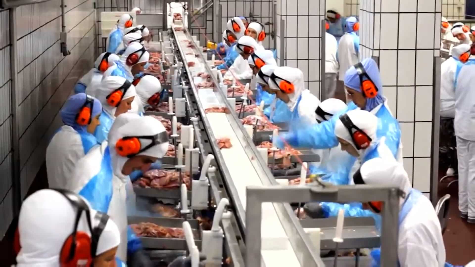 TST mantém afastamento de gestantes de áreas com ruído elevado em frigorífico no RS