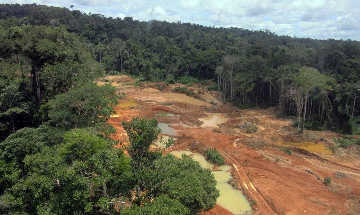 STF manda União apresentar plano de retirada do garimpo ilegal de terra dos Cinta Larga