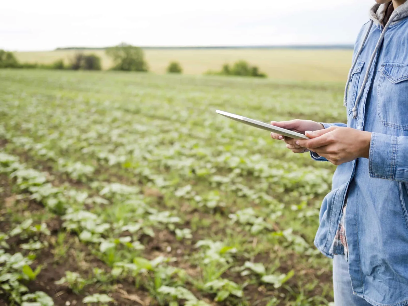 Tese reabre debate sobre a exclusão do engenheiro agrônomo da aposentadoria especial