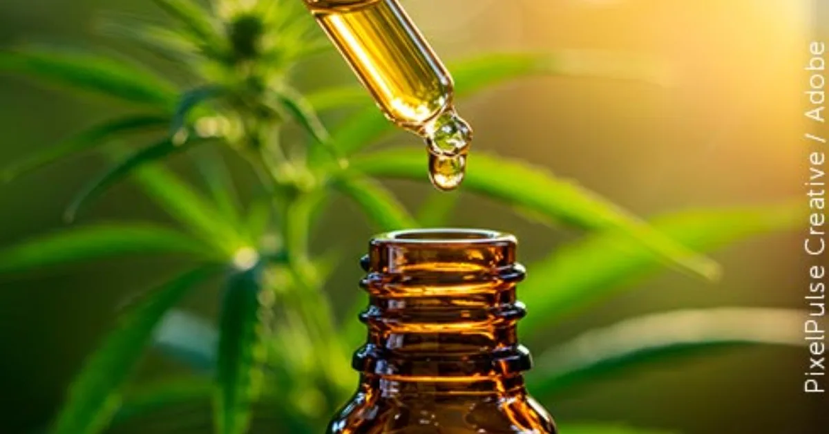 STJ consolida jurisprudência sobre uso medicinal da Cannabis e cânhamo industrial