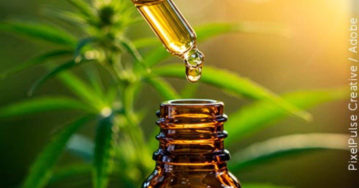 STJ consolida jurisprudência sobre uso medicinal da Cannabis e cânhamo industrial
