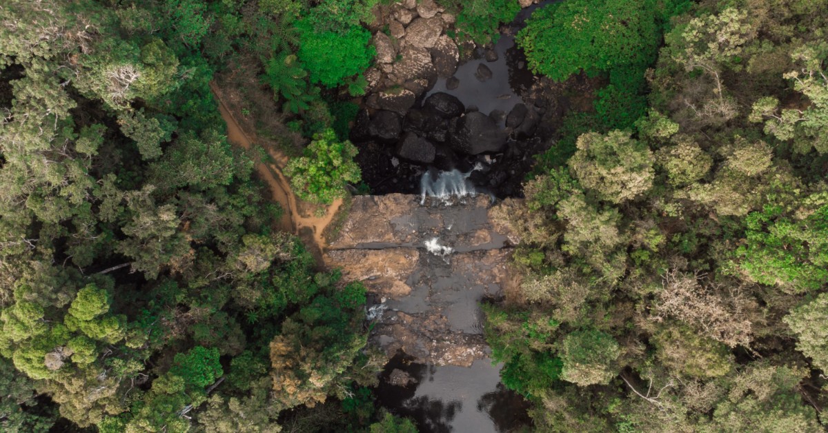 TJSC veta escolha de compensação ambiental por infratores no estado