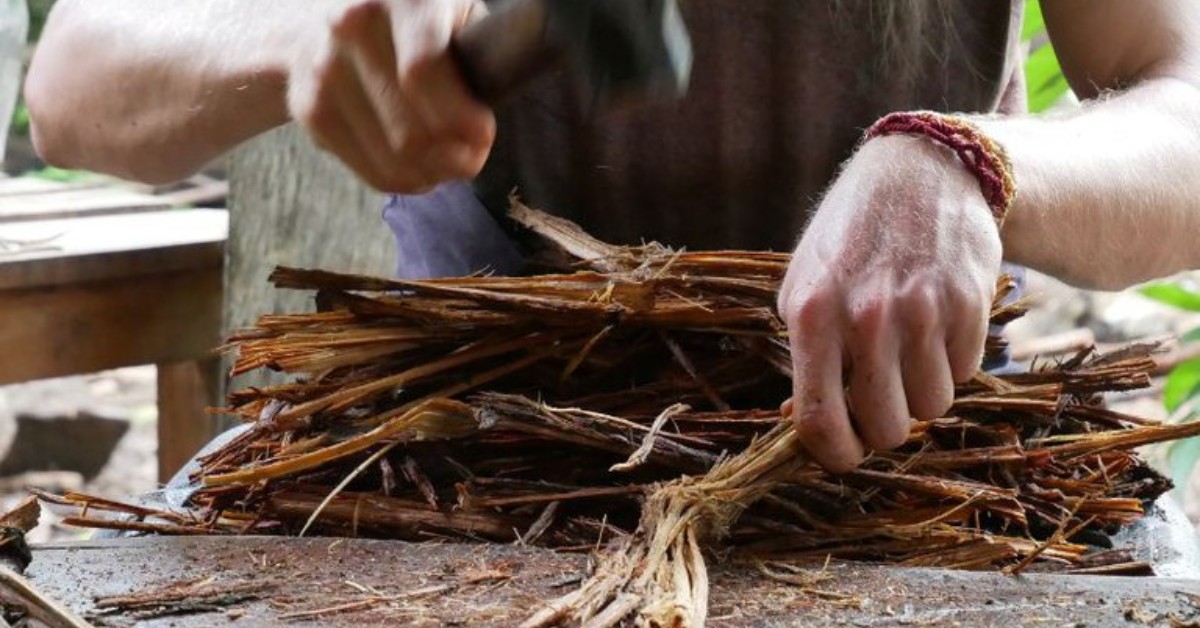 MPF recomenda revisão nas regras de uso da ayahuasca no Brasil