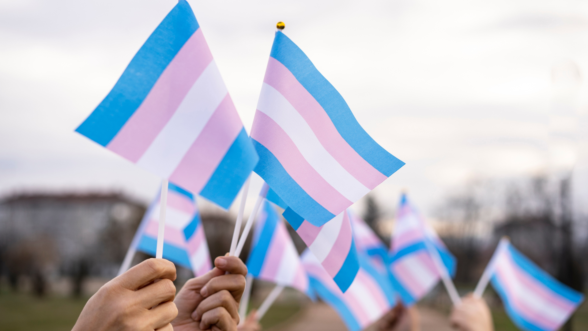 STJ reafirma que plano de saúde deve cobrir cirurgia de feminização facial no processo transexualizador