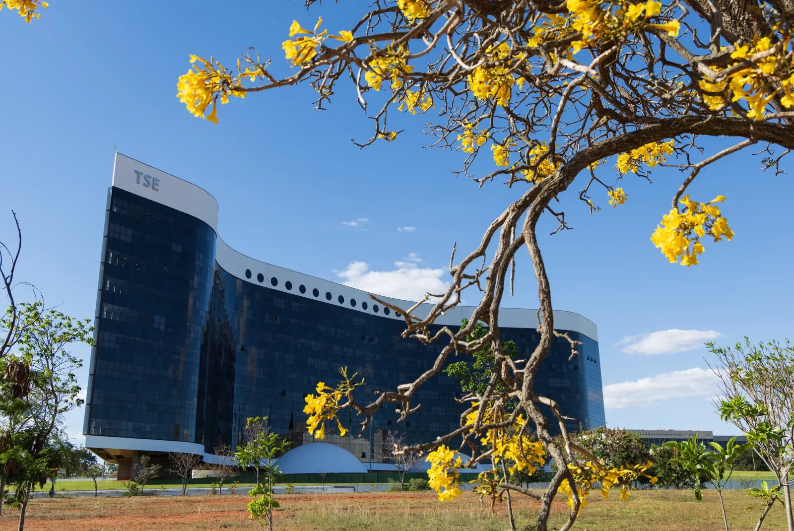 Área técnica do TSE não identifica desinformação no canal Exército do Lula e aponta riscos eleitorais
