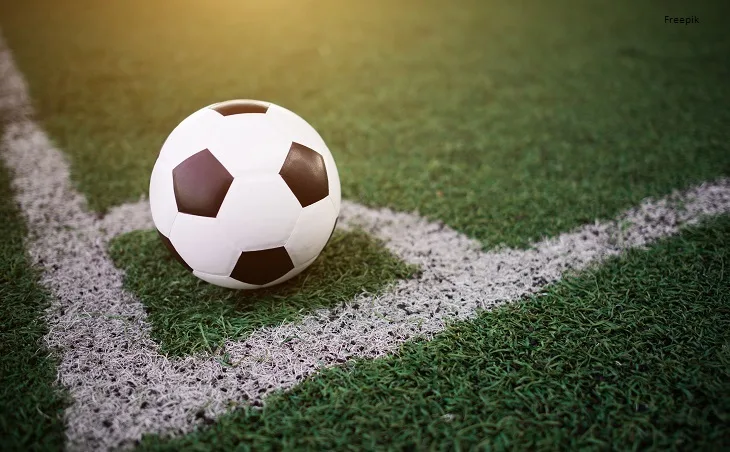 Justiça proíbe Torcida Jovem e Torcida Fúria Independente do Botafogo