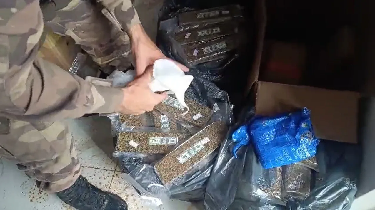 Suspeito usa cães para atacar PMs e furta veículo da Saúde em MG