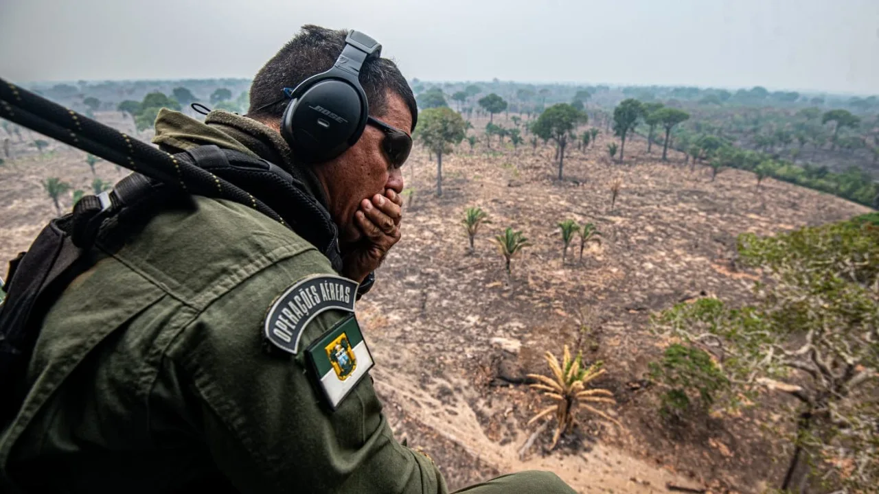 Ibama notifica 725 propriedades rurais para conter queimadas no Amazonas