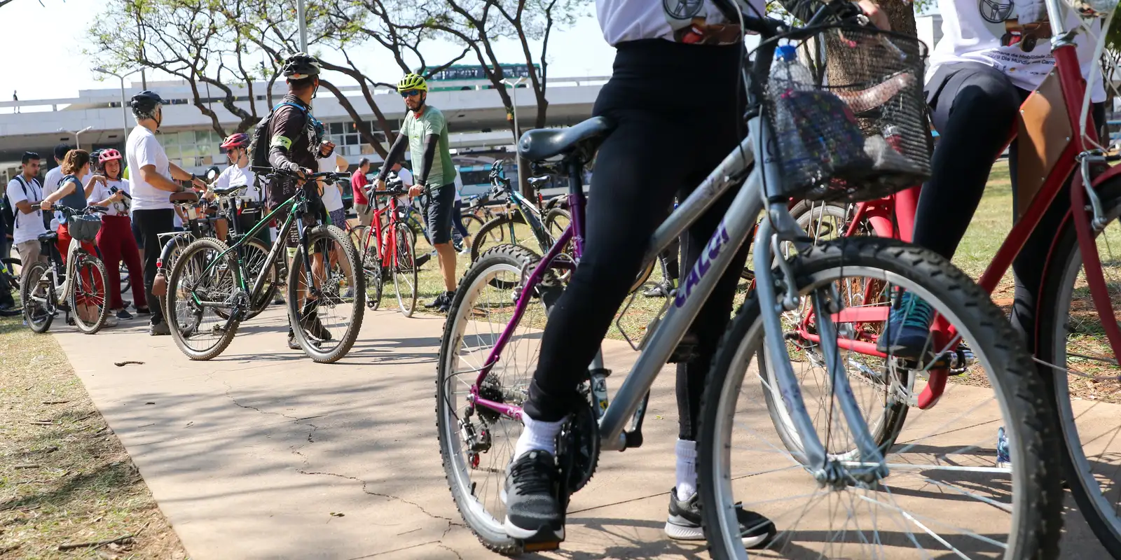 Justiça aceita denúncia e cinco se tornam réus por morte de ciclista no Rio