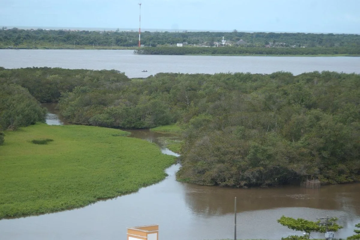 Justiça Federal condena invasor por danos em terra indígena e loteamento irregular em Iguape