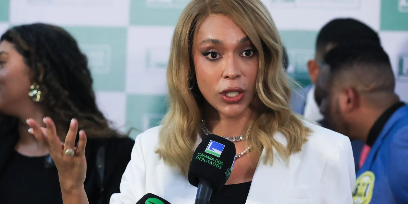 André Mendonça autoriza postagem de Erika Hilton sobre Nossa Senhora Aparecida