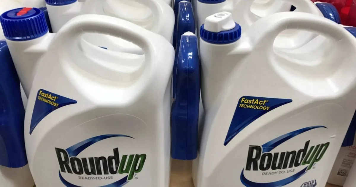 Júri decide a favor da Monsanto em processo sobre Roundup no Missouri
