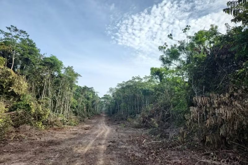 MPF cobra Governo do Acre por reabertura ilegal do Ramal Barbary