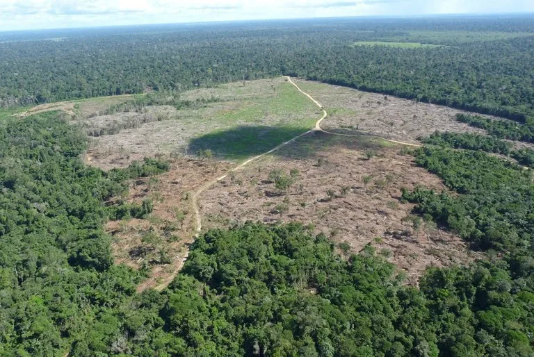 Justiça condena fazendeiro por danos ambientais na Terra Indígena Marãiwatsédé