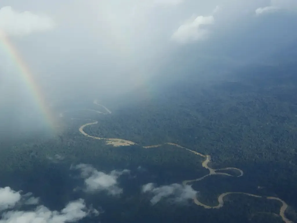 MPF exige compra de remédio para controle de bicho-de-pé na Terra Indígena Yanomami