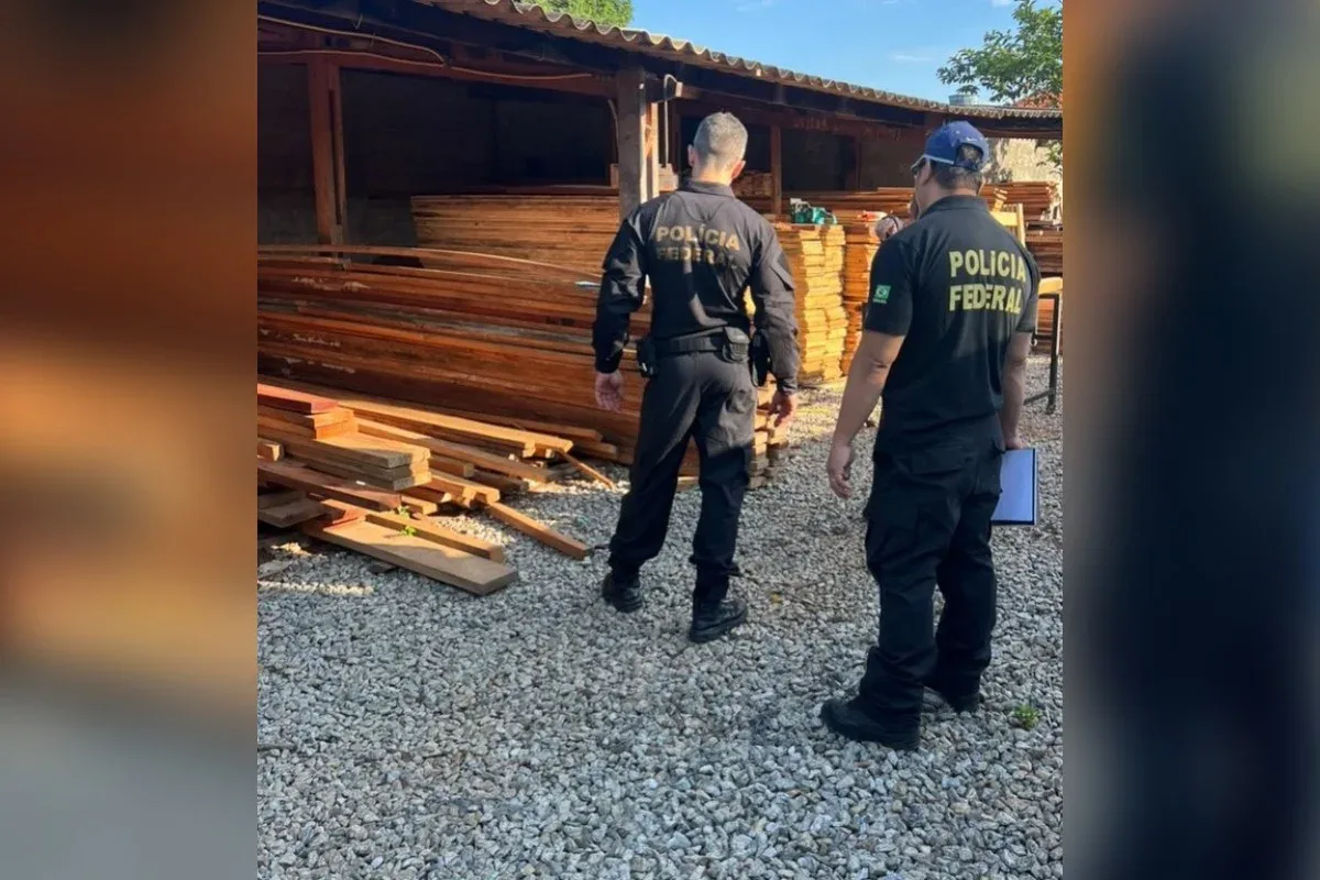 Polícia Federal apura esquema de fraude no controle florestal e comércio ilegal de madeira