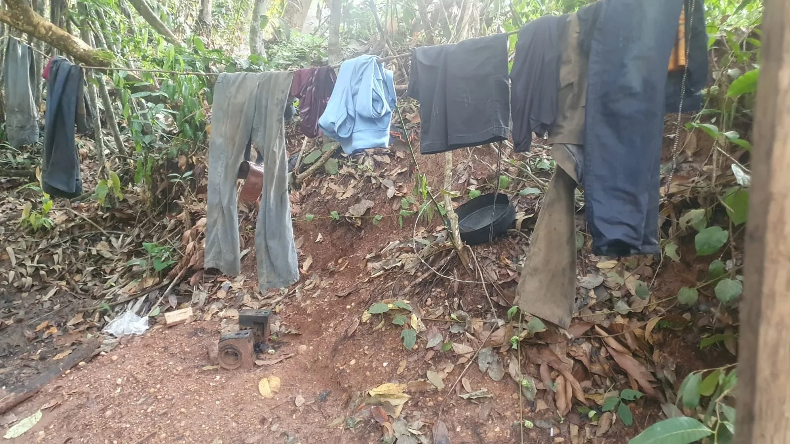 Quatro empregadores de Mato Grosso são incluídos na lista suja do trabalho escravo
